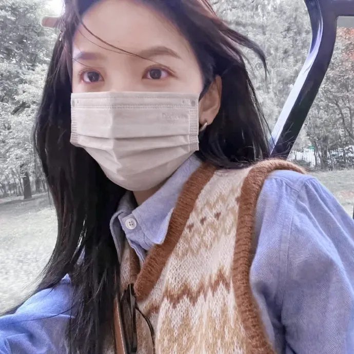 女王蜂游戏